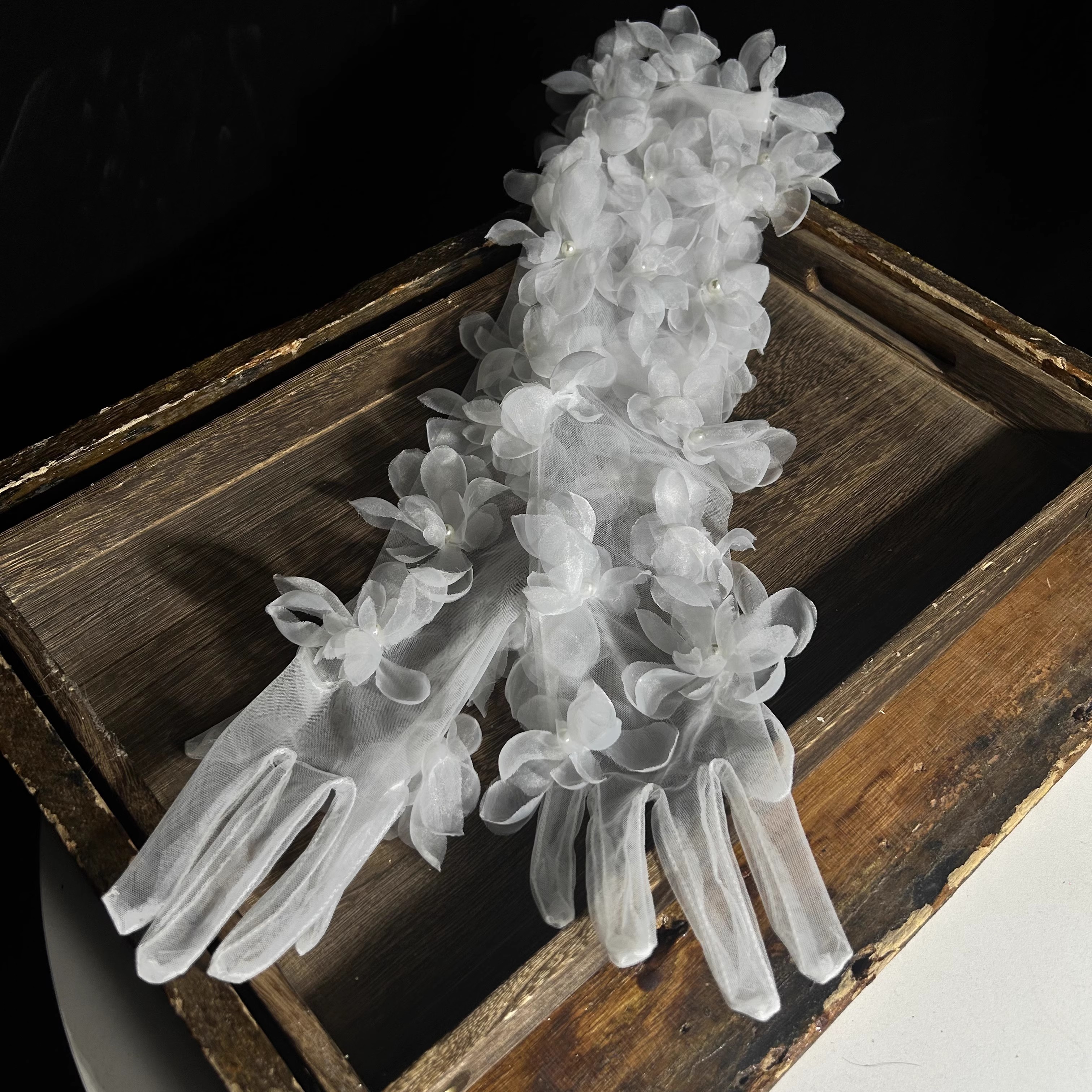 Long Flower Mesh Glove Women's - Vintage Fashion Photographers のレビューと価格
