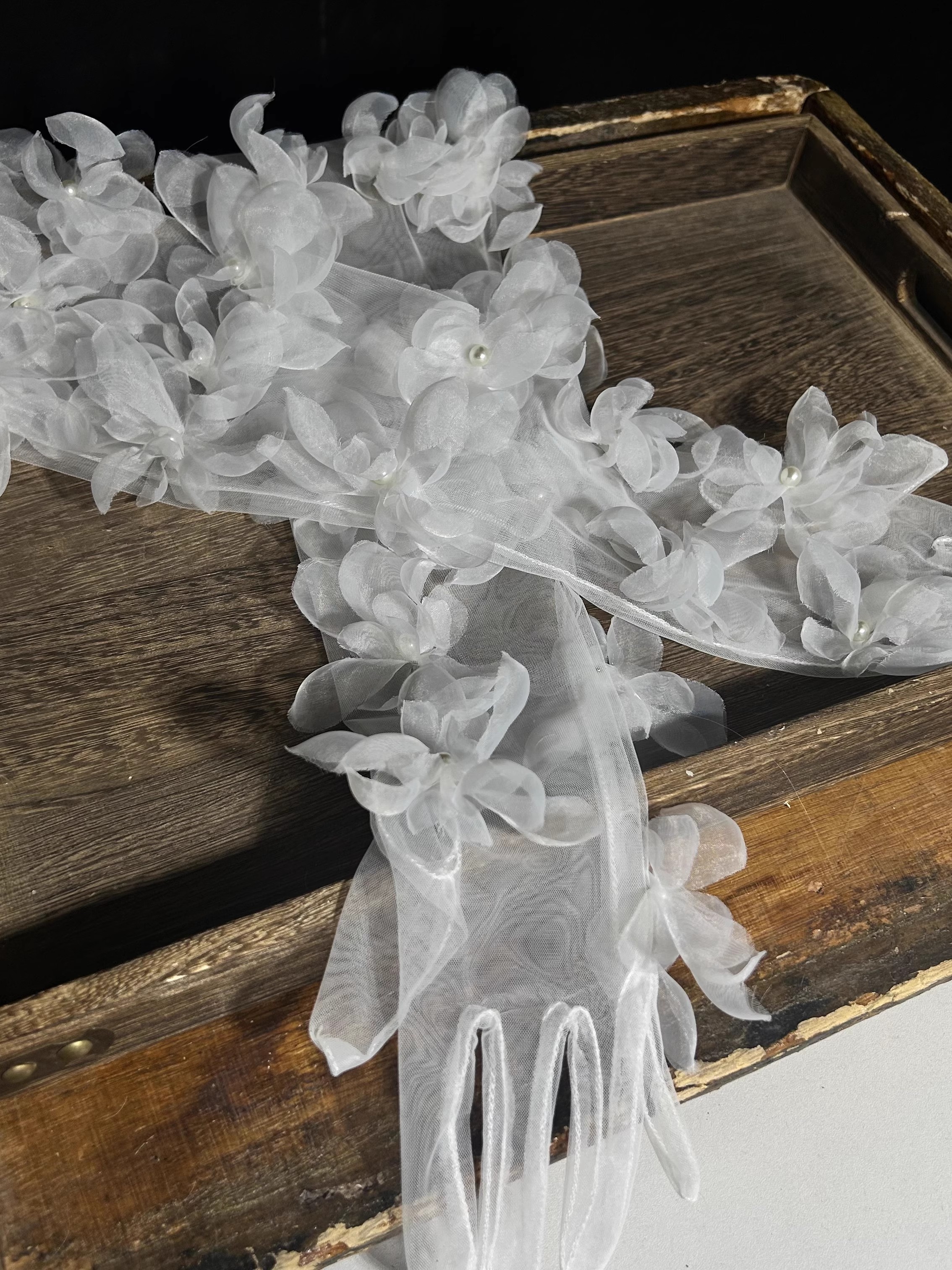 Long Flower Mesh Glove Women's - Vintage Fashion Photographers のレビューと価格