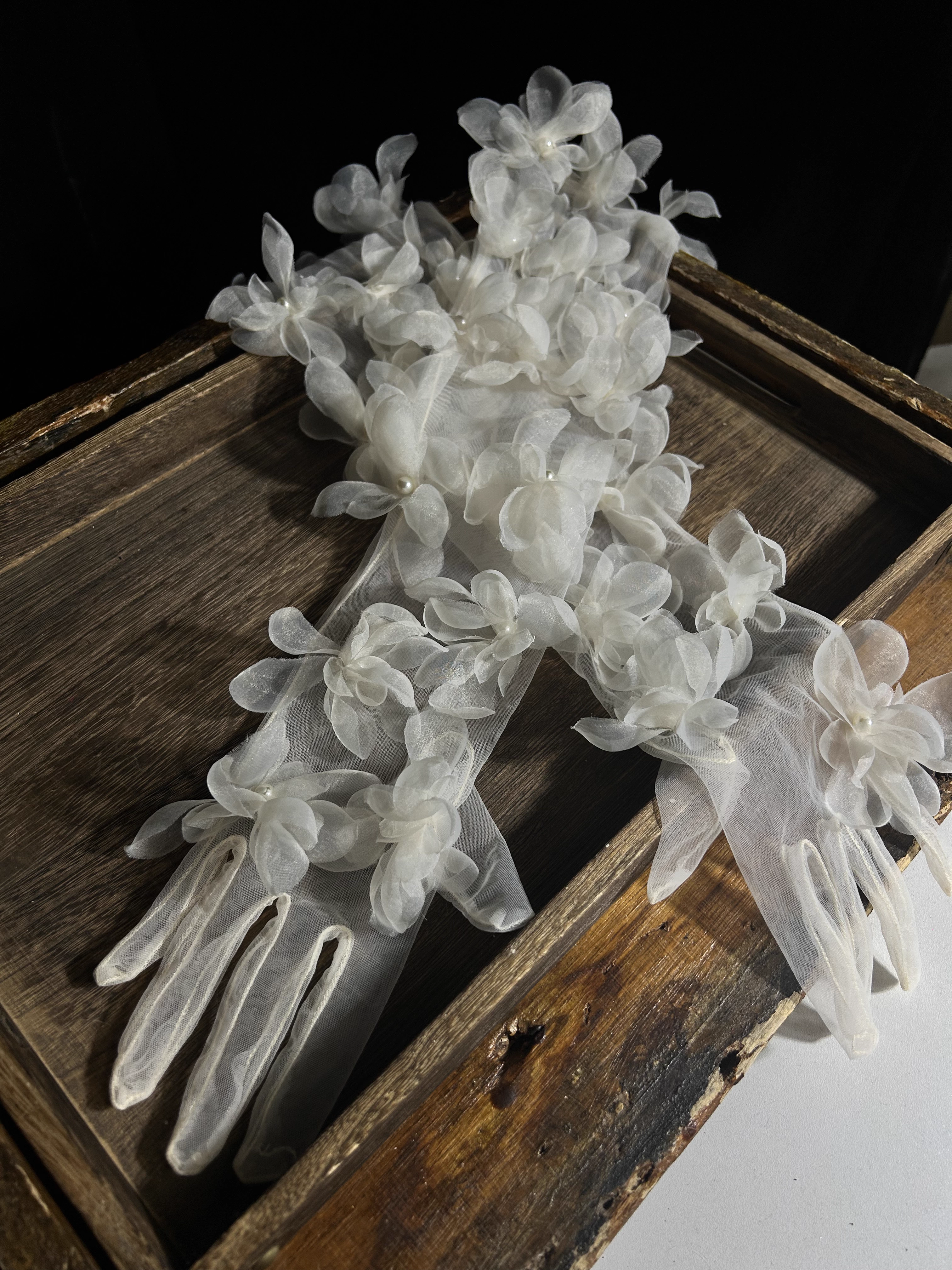 Long Flower Mesh Glove Women's - Vintage Fashion Photographers のレビューと価格
