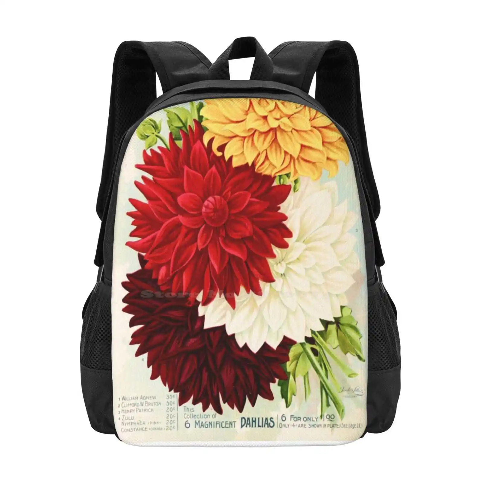 Vintage Flower Poster - Classi - Vintage Fashion Posters For Sale のレビューと価格