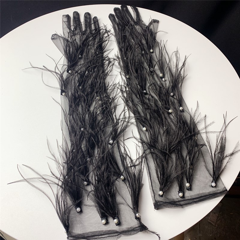 Women's Elegant Black Feather  - Vintage Fashion Photographers のレビューと価格