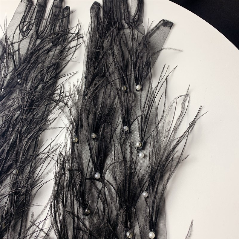 Women's Elegant Black Feather  - Vintage Fashion Photographers のレビューと価格
