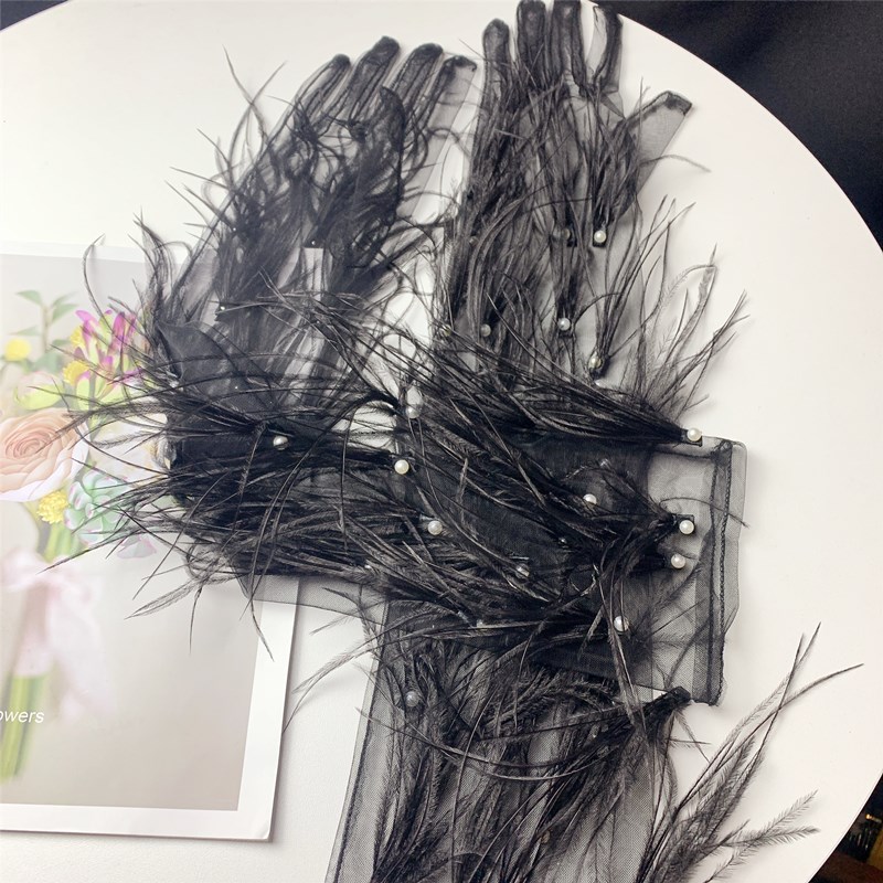 Women's Elegant Black Feather  - Vintage Fashion Photographers のレビューと価格
